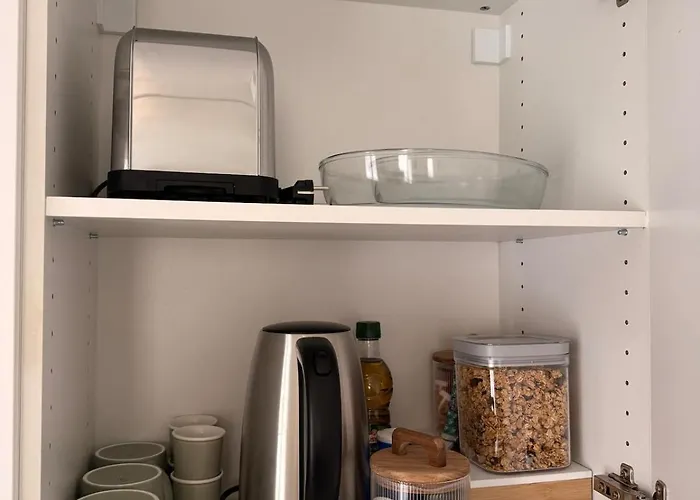 Jungle - Deco Tropicale Et Confort Moderne *